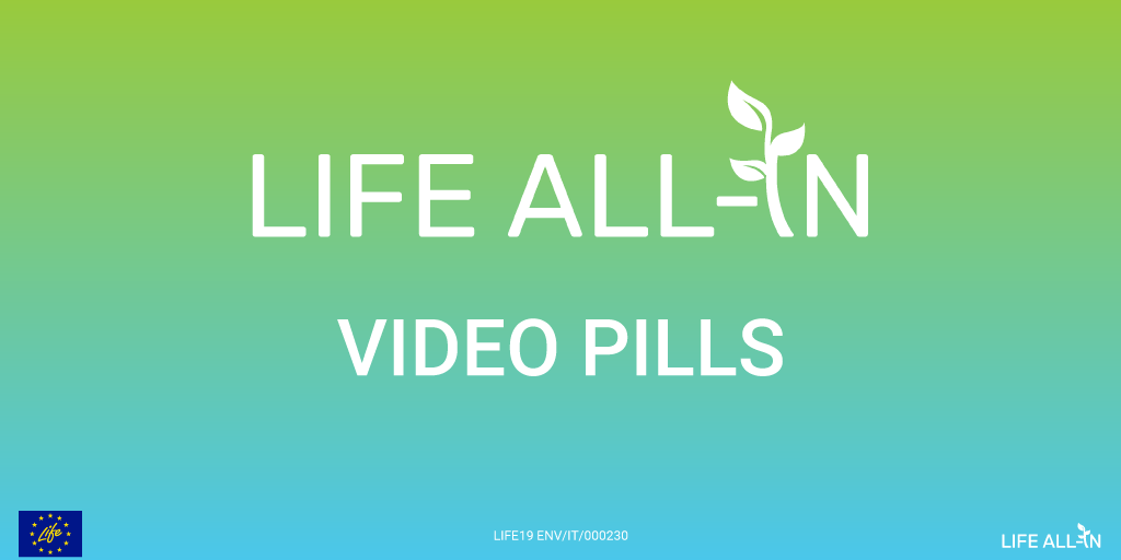 life-all-in-visual-video-pills.png